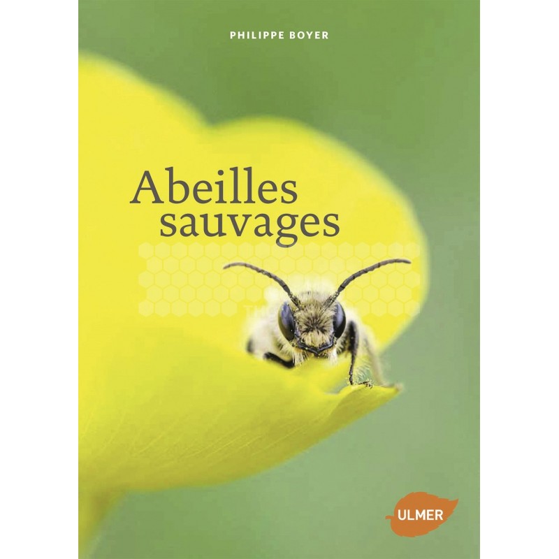 LIVRE - ABEILLE SAUVAGE (Philippe Boyer)