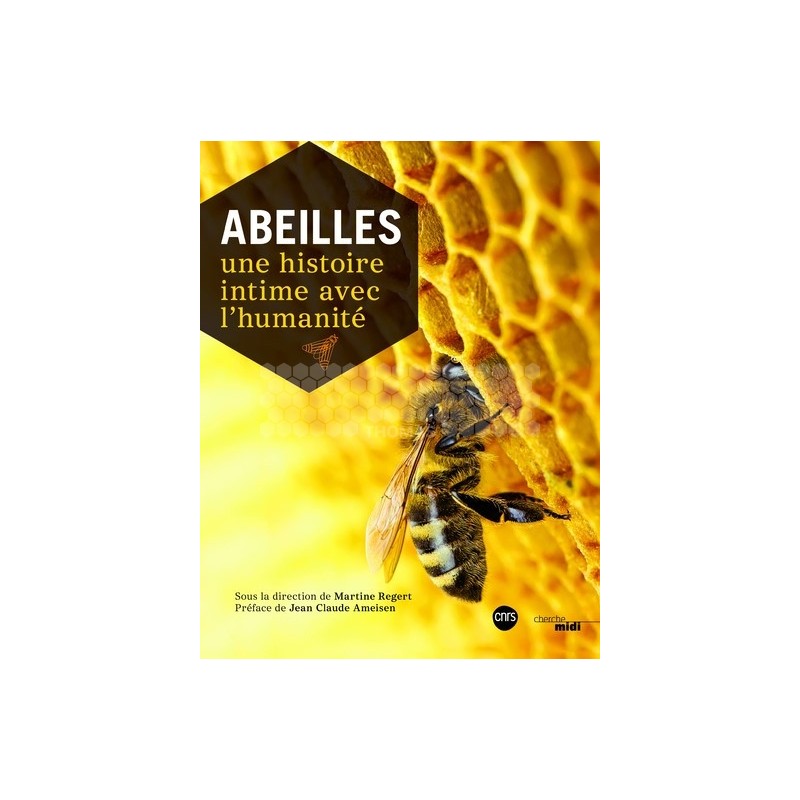 LIVRE - ABEILLES : 1 HISTOIRE INTIME AVEC L'HUMANITE