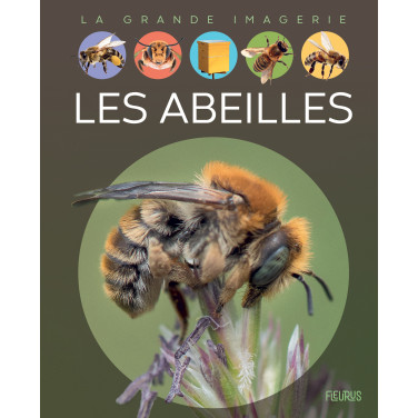 LIVRE - LES ABEILLES - Fleurus / S. Boccador