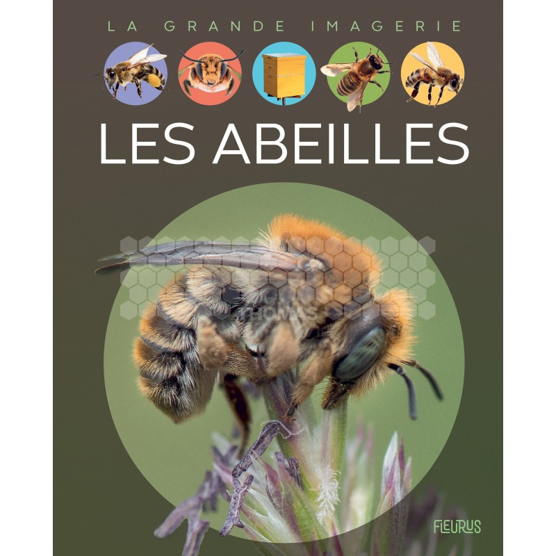 LIVRE - LES ABEILLES - Fleurus / S. Boccador