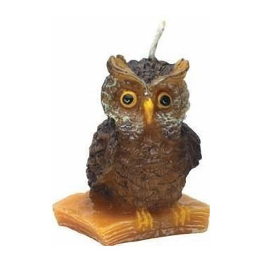 MOULE A BOUGIE : HIBOU SUR LIVRE