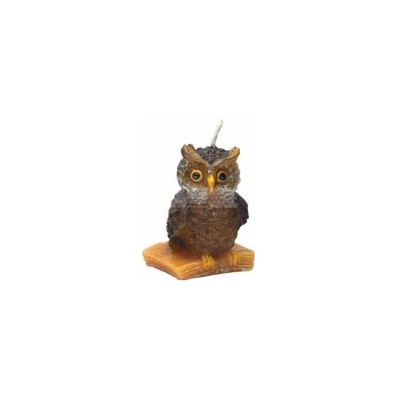 MOULE A BOUGIE : HIBOU SUR LIVRE