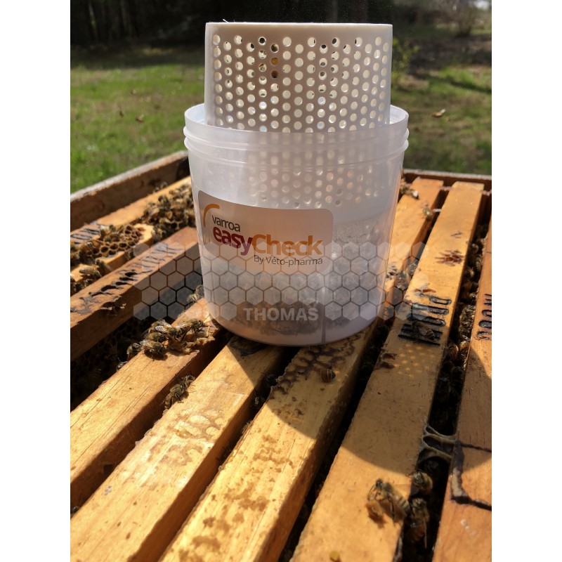 Varroa EasyCheck outil rapide et précis pour apiculteurs.
