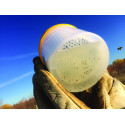 Varroa EasyCheck outil rapide et précis pour apiculteurs.