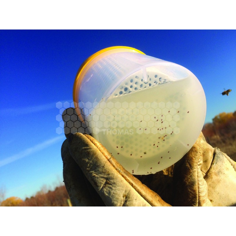 Varroa EasyCheck outil rapide et précis pour apiculteurs.