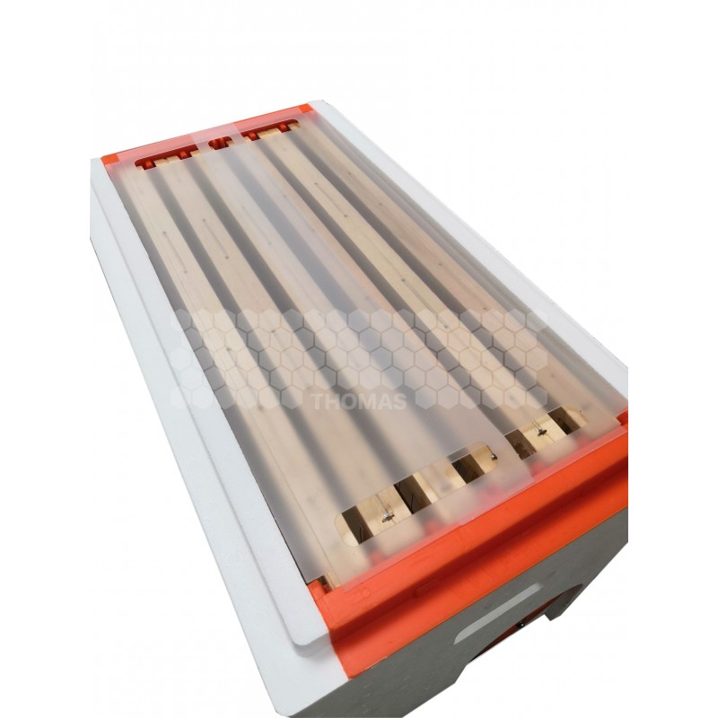 KIT PAR 2 PVC TRANSP RUCH TOP PRO DDT LGTH 6C (RR1260/1261)