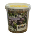 GRAINES D'API THOMAS : MELANGE NECTAR et COULEURS (LE POT DE 500 GR)