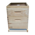 TRADITION : PACK PASSION DDT 10 SANS TOIT
