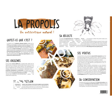 POSTER PEDAGOGIQUE - LA PROPOLIS (600*850 mm)