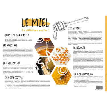 POSTER PEDAGOGIQUE - LE MIEL (600*850 mm)