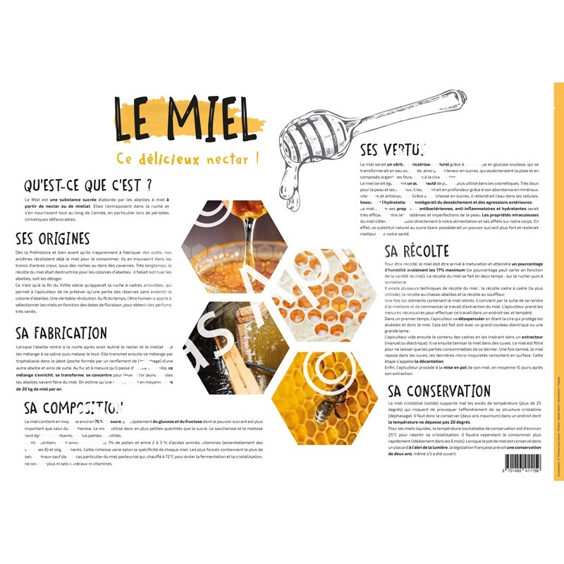 POSTER PEDAGOGIQUE - LE MIEL (600*850 mm)
