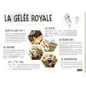 POSTER PEDAGOGIQUE - LA GELEE ROYALE (600*850 mm)