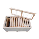 PACK NUCLEI DE FECONDATION MAXIPLUS THOMAS (AVEC 12 cadrons RR1106)