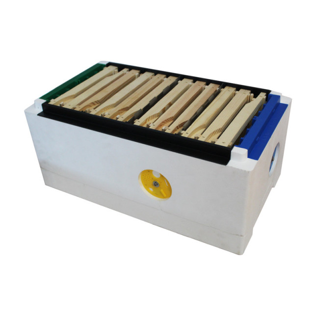 RUCHETTE QUADRIHIVE ELEVAGE POLYSTYRENE HD TOP PRO