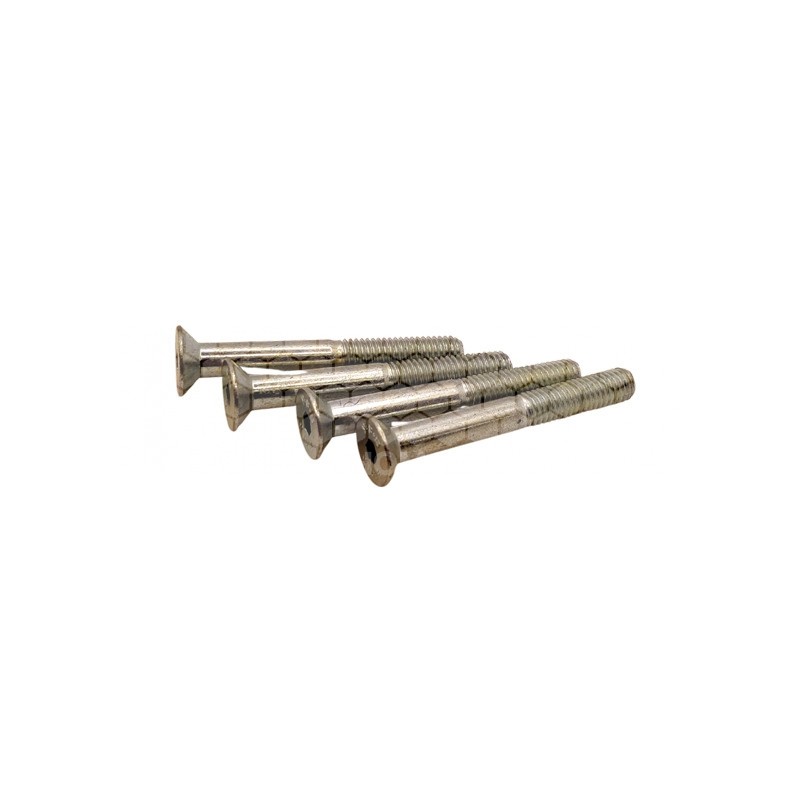 APISOLIS PACK DE 4 VIS FHC M5x40mm DE RECHANGE
