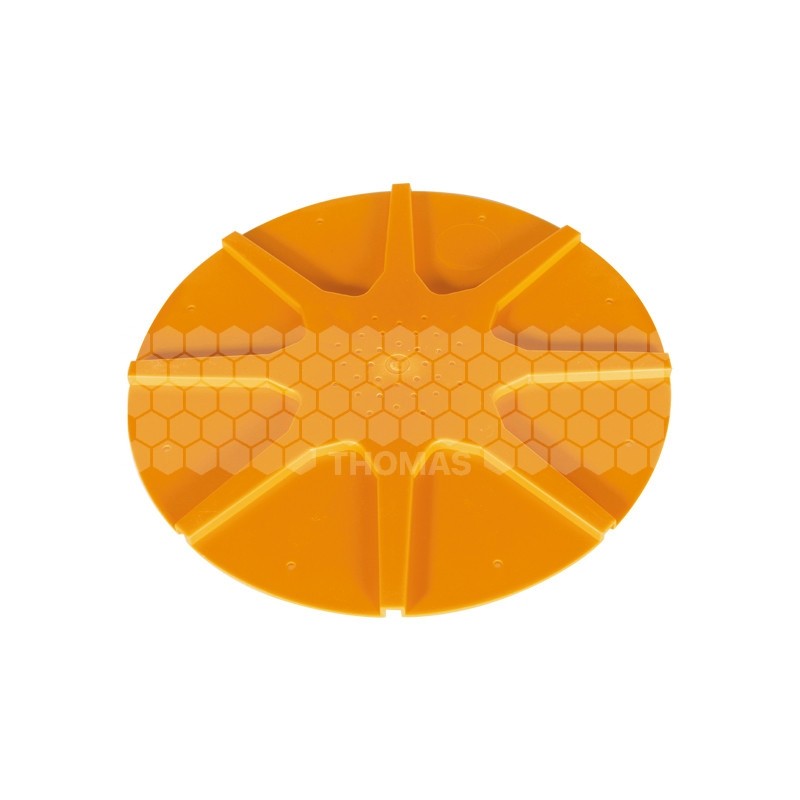 CHASSE ABEILLES ROND 8 SORTIES