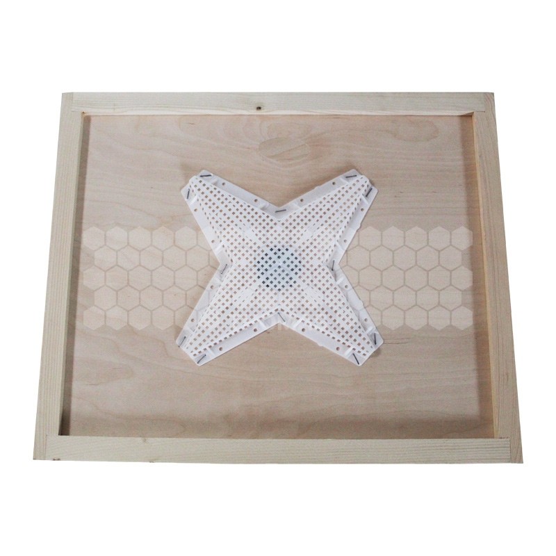 PLATEAU CHASSE ABEILLES ETOILE DDT 10 (430*500)
