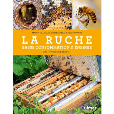 LIVRE - LA RUCHE BASSE CONSOMMATION ENERGIE (Guillemain, Riondet)