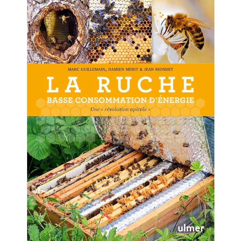 LIVRE - LA RUCHE BASSE CONSOMMATION ENERGIE (Guillemain, Riondet)