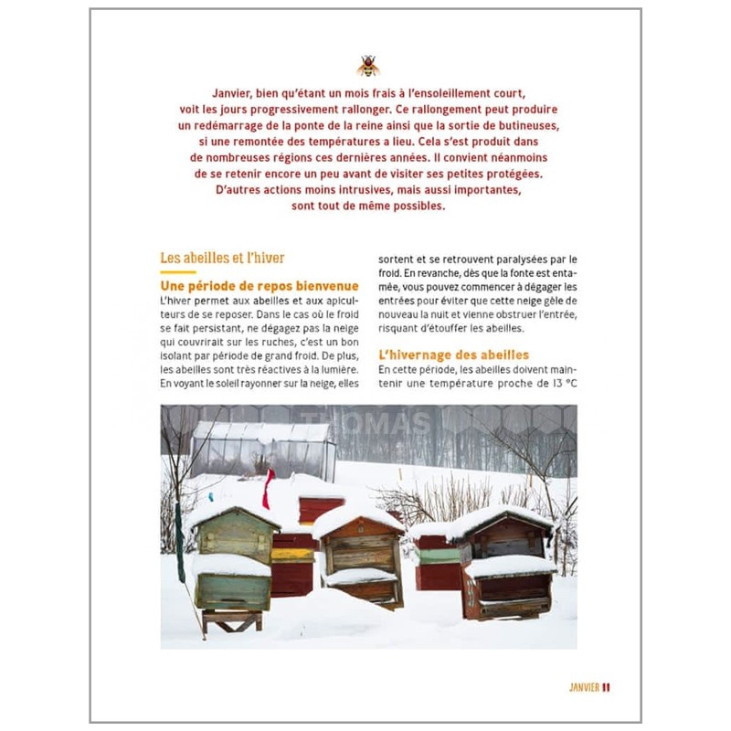 LIVRE : 12 MOIS AVEC MES RUCHES (Paul et Gilles FERT)