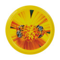 CAPSULE TO 82 ABEILLES FLEURS JAUNES (CARTON COMPLET)