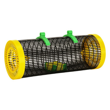 Piège sélectif frelon CAPT'O