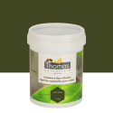 Peinture de protection aux huiles végétales Thomas® 1 L - Vert olive