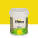 Peinture de protection aux huiles végétales Thomas® 1 L - Jaune