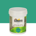 Peinture de protection aux huiles végétales Thomas® 1 L - Vert phtalo