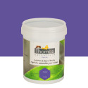 Peinture de protection aux huiles végétales Thomas® 1 L - Violet