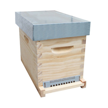 RUCHETTE DADANT 6 C TRADITION · TENONS TOIT PLAT
