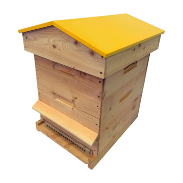 Ruche mi-bois Dadant 10 cadres Passion Essencia® toit chalet jaune