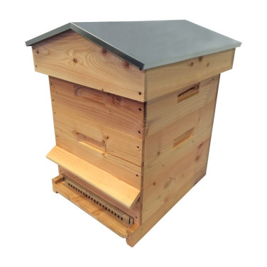 Ruche mi-bois Dadant 10 cadres Passion Essencia® toit chalet brut