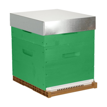 Ruche complète verte Dadant 10 cadres Pribois® (avec cadres)