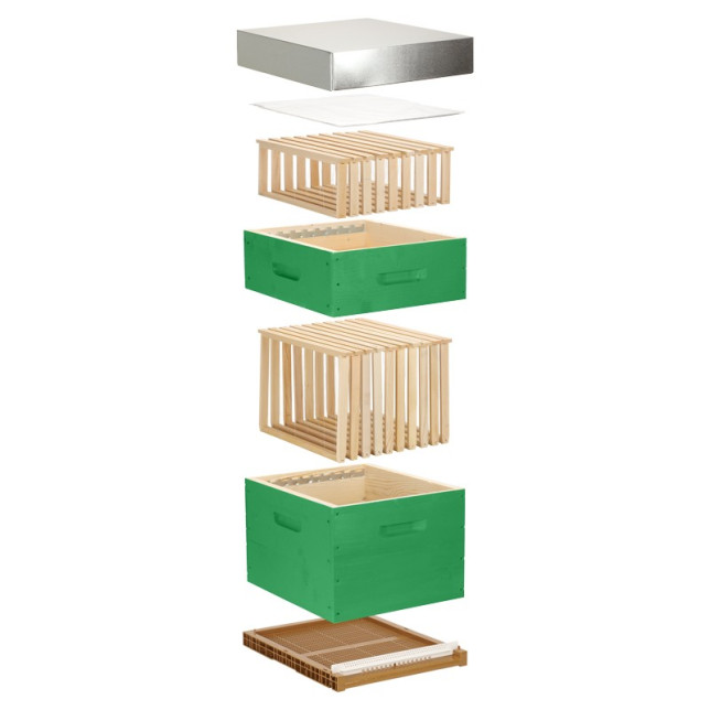 Ruche complète verte Dadant 10 cadres Pribois® (avec cadres)