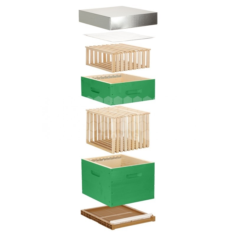 Ruche complète verte Dadant 10 cadres Pribois® (avec cadres)