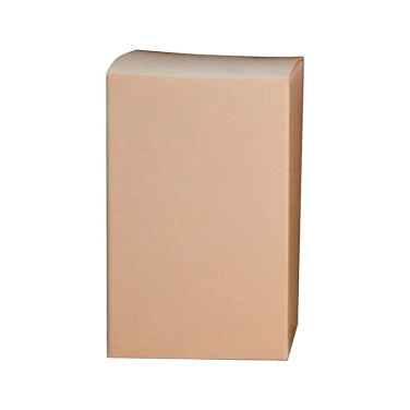 BOÎTES DE PRÉSENTATION CARTON