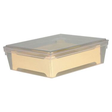 BOÎTES À SECTIONS PLASTIQUE