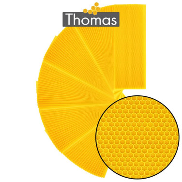 CIRE THOMAS GAUFREE ET CONDITIONNEE - 100 FEUILLES DDT HAUSSE