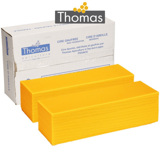 CIRE THOMAS GAUFREE ET CONDITIONNEE - 100 FEUILLES DDT HAUSSE