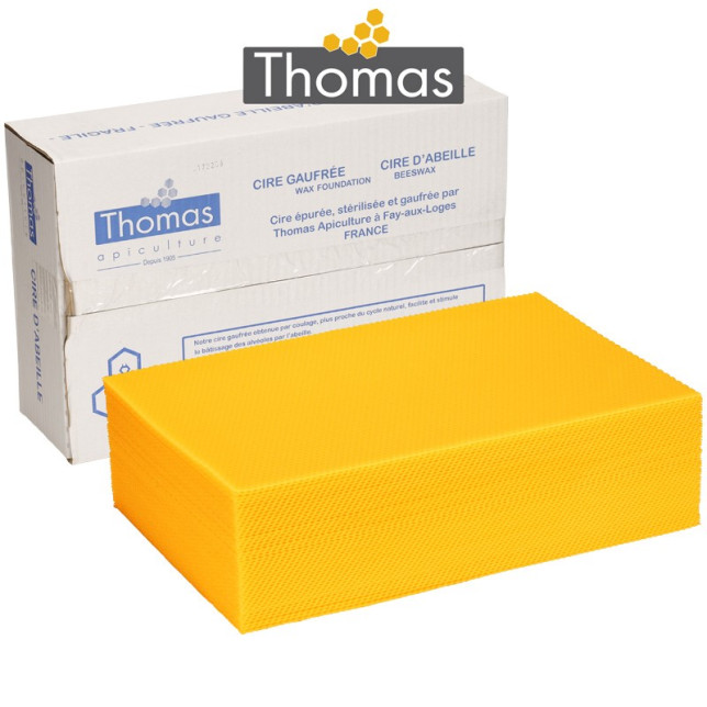 CIRE THOMAS GAUFREE ET CONDITIONNEE - 50 FEUILLES DDT CORPS