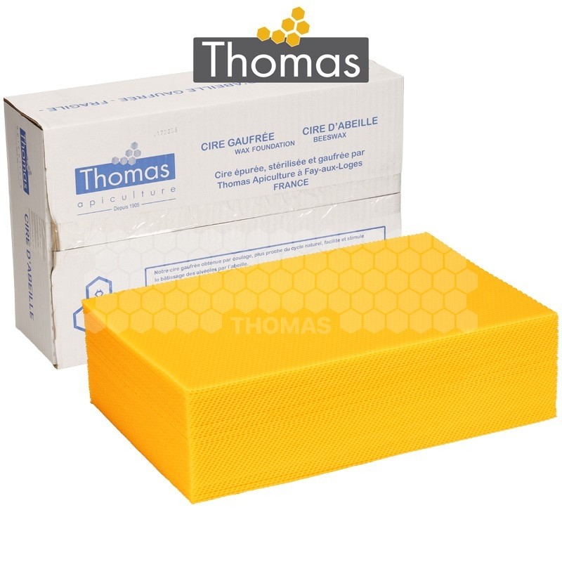 CIRE THOMAS GAUFREE ET CONDITIONNEE - 50 FEUILLES DDT CORPS