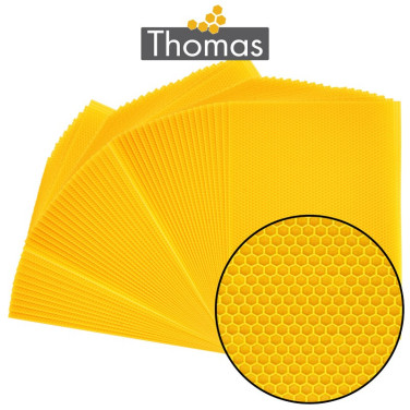 CIRE THOMAS GAUFREE ET CONDITIONNEE - 50 FEUILLES DDT CORPS