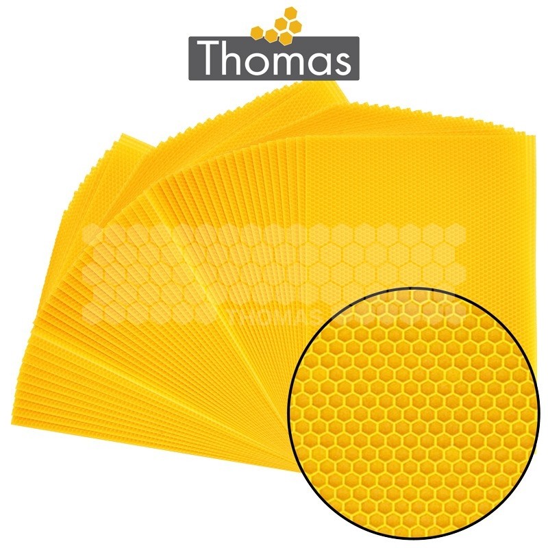 CIRE THOMAS GAUFREE ET CONDITIONNEE - 50 FEUILLES DDT CORPS
