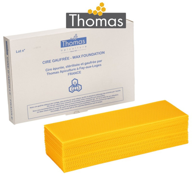 CIRE THOMAS GAUFREE ET CONDITIONNEE - 40 FEUILLES DDT HAUSSE