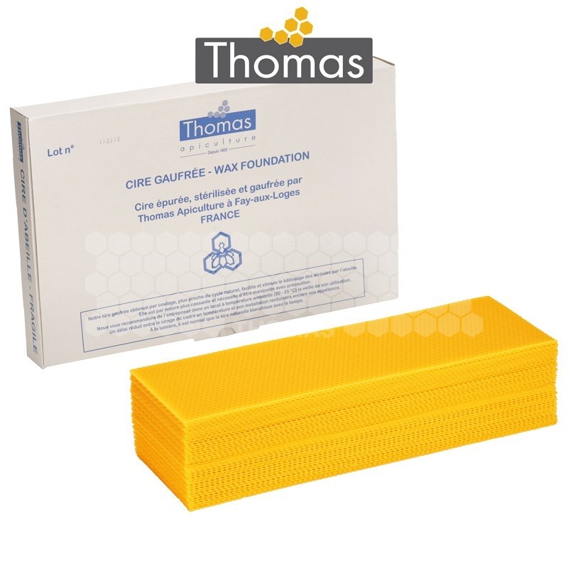 CIRE THOMAS GAUFREE ET CONDITIONNEE - 40 FEUILLES DDT HAUSSE