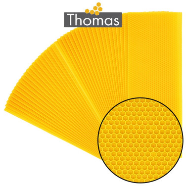 CIRE THOMAS GAUFREE ET CONDITIONNEE - 40 FEUILLES DDT HAUSSE