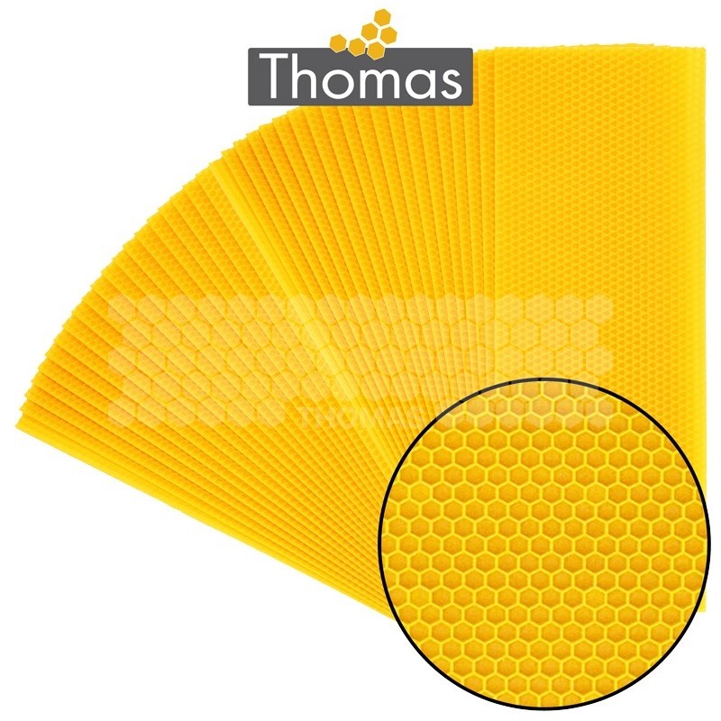 CIRE THOMAS GAUFREE ET CONDITIONNEE - 40 FEUILLES DDT HAUSSE