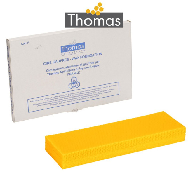 CIRE THOMAS GAUFREE ET CONDITIONNEE - 20 FEUILLES DDT HAUSSES
