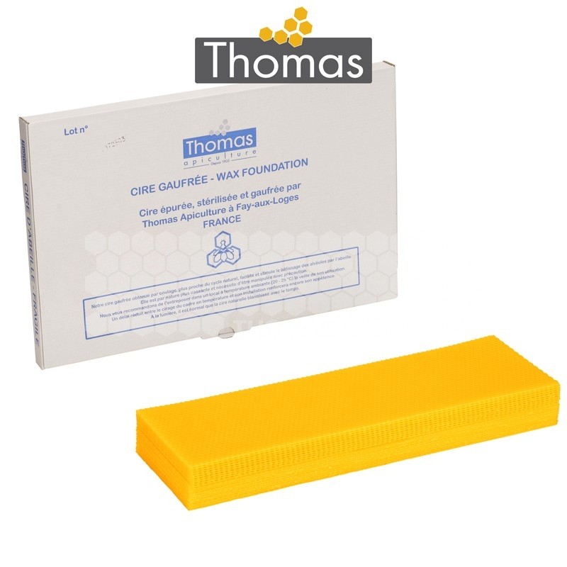 CIRE THOMAS GAUFREE ET CONDITIONNEE - 20 FEUILLES DDT HAUSSES